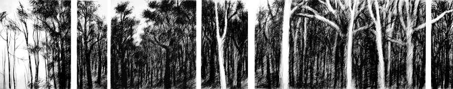 Waldlandschaft